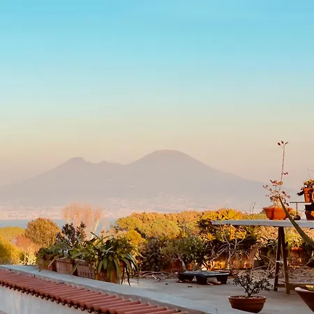 Mamilu * Naples
